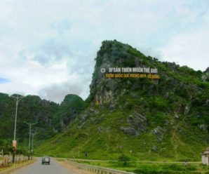 Tour Du lịch Huế 1 ngày – Khám phá động Phong Nha