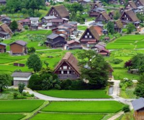 Du lịch Nhật Bản: Hà Nội – Osaka – Gifu – Nagano – Yamanashi – Tokyo 7 Ngày 6 Đêm