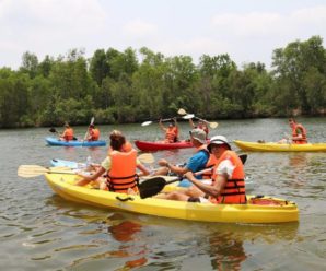 Tour chèo thuyền kayak và khám phá Bắc đảo 1 ngày