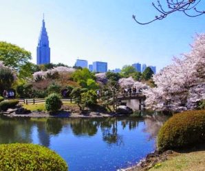 Du lịch Nhật Bản: Đà Nẵng – Tokyo – Kawaguchiko – Núi Phú Sỹ – Hakone 5 Ngày 4 đêm