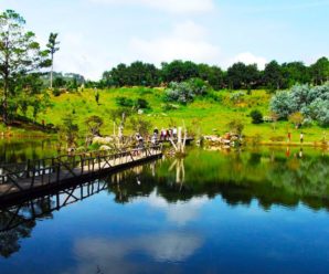 Tour Đà Lạt Langbiang 1 ngày