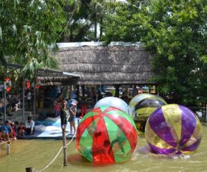 Tour du lịch Vĩnh Long 1 ngày