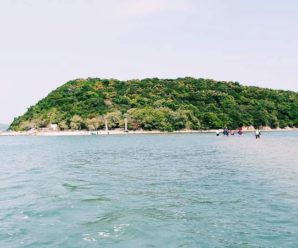 Tour Du lịch Bình Định – Phú Yên 1 ngày: Khám phá đảo Nhất Tự Sơn – KDL Vịnh Hòa – Đồi Cát Từ Nham