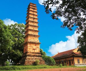 Tour Du lịch Vĩnh Phúc 1 ngày: Khám phá Vĩnh Trạch