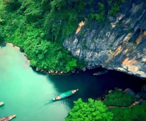 Tour Du lịch Quảng Bình 1 ngày – Khám phá Động Phong Nha, Sông Chày, Hang Tối