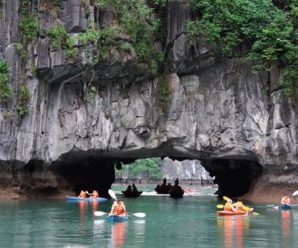 Tour Du lịch Cát Bà 1 ngày – Khám phá Vịnh Lan Hạ, Đảo Khỉ