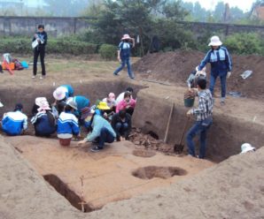 Tour Du lịch Vĩnh Phúc 1 ngày: Khám phá KDT KCH Đồng Đậu – Đền Bắc Cung