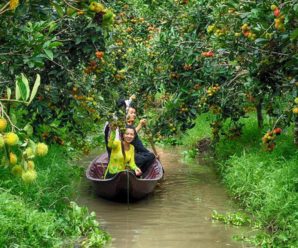 Tour chợ nổi Cái Bè – Khu du lịch Vĩnh Sang 1 ngày