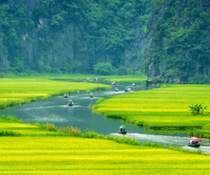Tour Du lịch Ninh Bình 1 ngày – Khám phá Hoa Lư – Tam Cốc – Bích Động