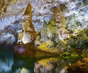 Tour Du lịch Quảng Bình 1 ngày: Khám phá Động Phong Nha – Thác Gió –  Vườn Thực Vật