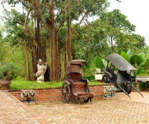 Tour Du lịch Hà Nội 1 ngày: Khu du lịch sinh thái Long Việt