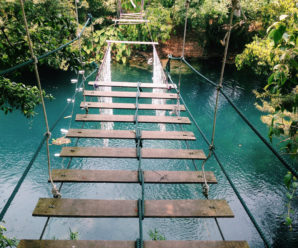 Tour Du lịch Quảng Bình 1 ngày – Khám phá Động Phong Nha, Suối Moọc