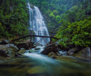 Tour Du lịch Nghệ An 1 ngày: Rừng Nguyên sinh Pù Mát (Con Cuông)