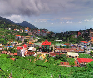 Tour Du lịch Hà Nội – Vĩnh Phúc 1 ngày: Khám phá Tam Đảo