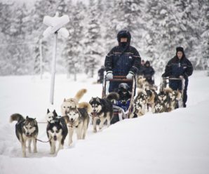 Du lịch Bắc Âu: Hà Nội – Na Uy – Thụy Điển – Phần Lan – Thăm quê hương Ông già Noel 11 ngày 10 đêm