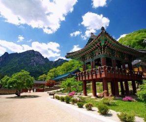 Du lịch Hàn Quốc 5 ngày 4 đêm. Seoul – Hongcheon – Seorak – tháp Nam San
