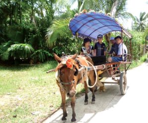 Tour du lịch Tiền Giang – Bến Tre 1 ngày