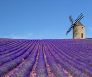 Du lịch Châu Âu: Hà Nội – Pháp – Ý – Mùa hoa Lavender 11 ngày 10 đêm