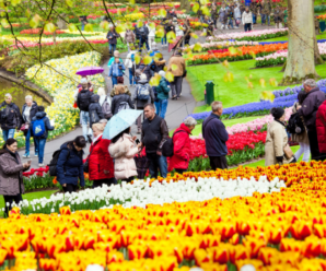 Du lịch Châu Âu: Tp Hồ Chí Minh – Pháp – Bỉ – Hà Lan – Lễ hội hoa Keukenhof 7 ngày 6 đêm