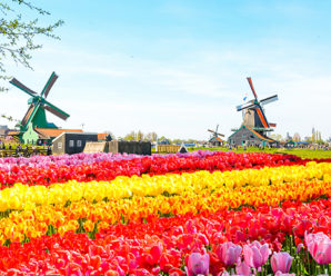 Du lịch Châu Âu: Tp Hồ Chí Minh – Pháp – Bỉ – Hà Lan – Đức – Ngôi làng cổ tích Giethoorn, Lễ hội hoa Tulip 10 ngày 9 đêm