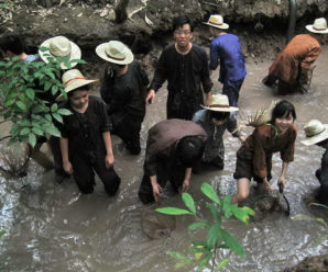 Tour du lịch miền tây tát mương bắt cá 1 ngày