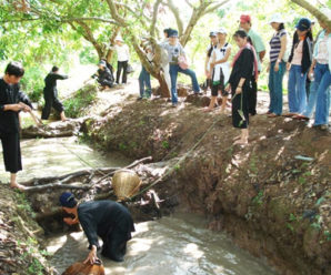 Tour du lịch Vĩnh Long 1 ngày