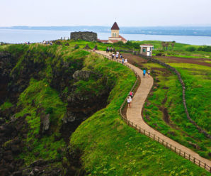 Du lịch Hàn Quốc 5 ngày 4 đêm. Hà Nội – Đảo Jeju