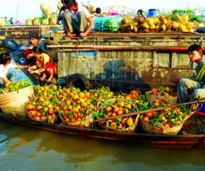Du lịch miền Nam 5 ngày 4 đêm. Sài Gòn – Miền Tây Chợ Nổi