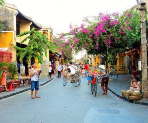 Du lịch Miền Trung: Đà Nẵng – Hội An – Huế – Quảng Bình 4 ngày 3 đêm