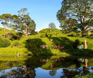 Du lịch New Zealand 7 ngày 6 đêm. Tp Hồ Chí Minh – Auckland – Hamilton – Te Puke – Taupo – Rotorua – Matamata